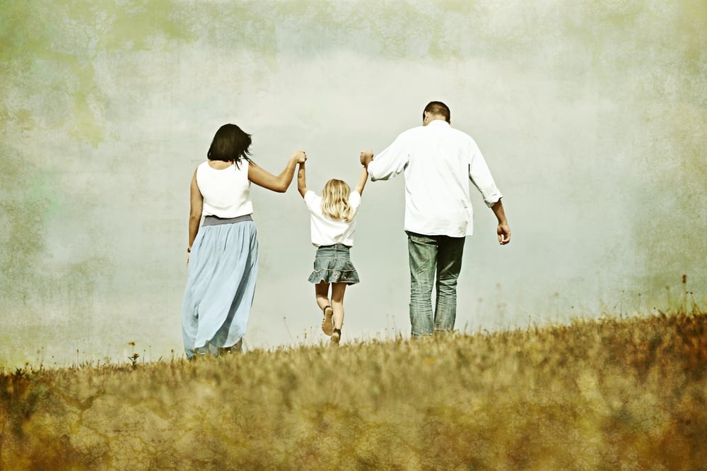 Colorized image of young family on green summer grass meadow having fun