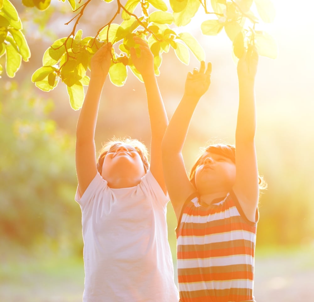 Happy kid outdoors in nature having good time picking the tree (retro style sunset time)