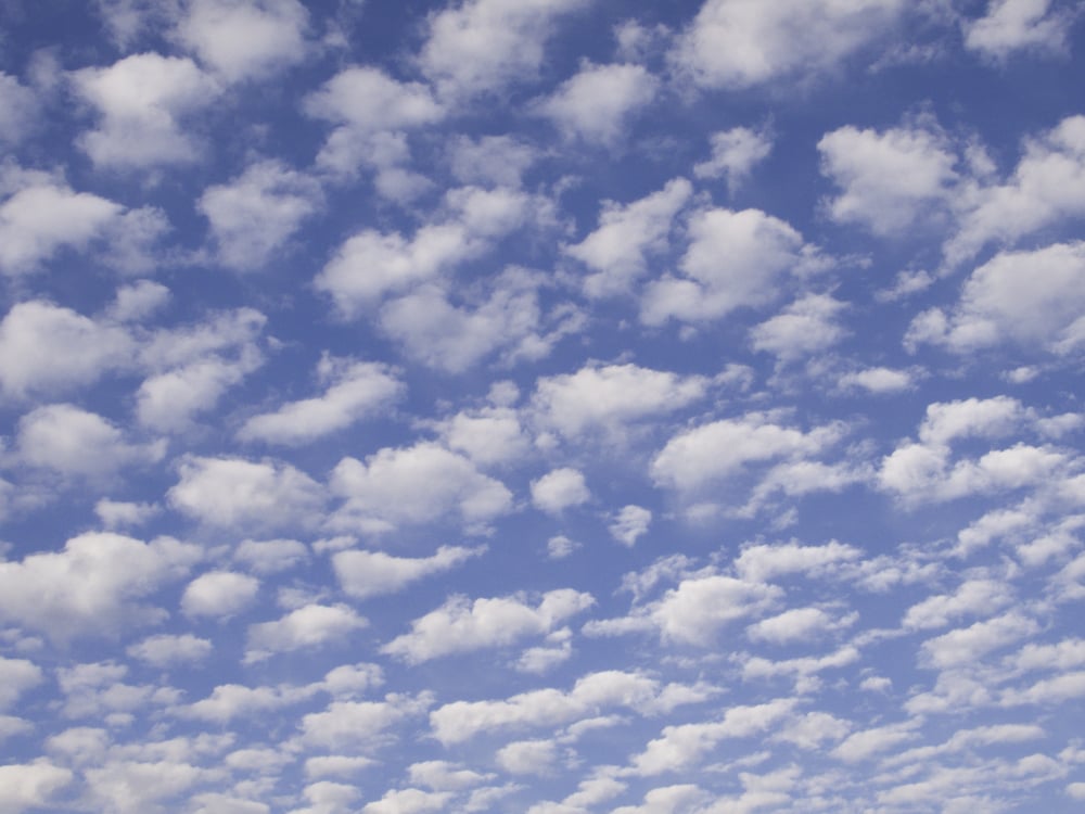 Multitude of fluffy white clouds in blue sky